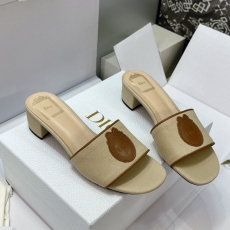 Christian Dior Slippers